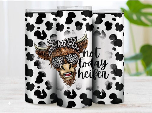 Sarcastic/Snarky 20oz Tumbler Designs